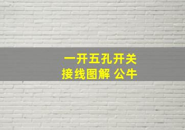 一开五孔开关接线图解 公牛